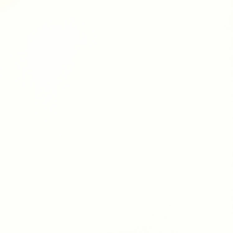 Malaysia Roy White Polished 24 x 24