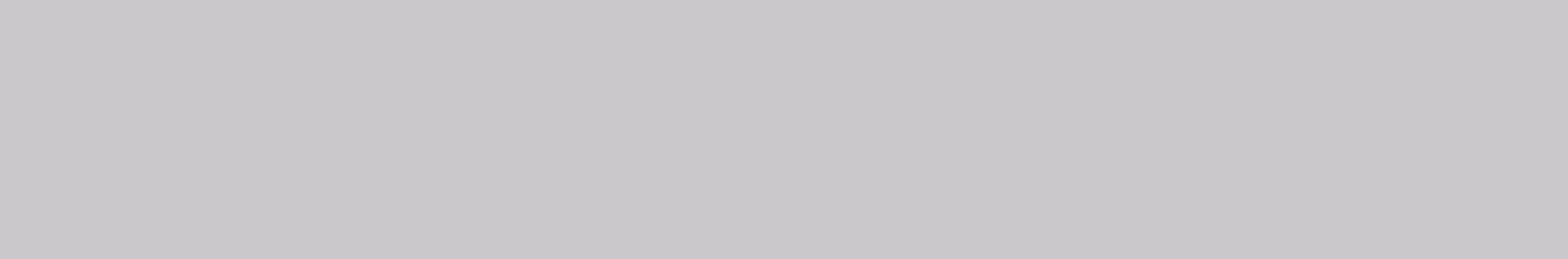 Block Gris Matte 4 x 24 Ceramic Tile