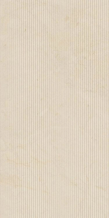 Biotech Crema Stone Cannette 24 x 48 porcelain tiles.