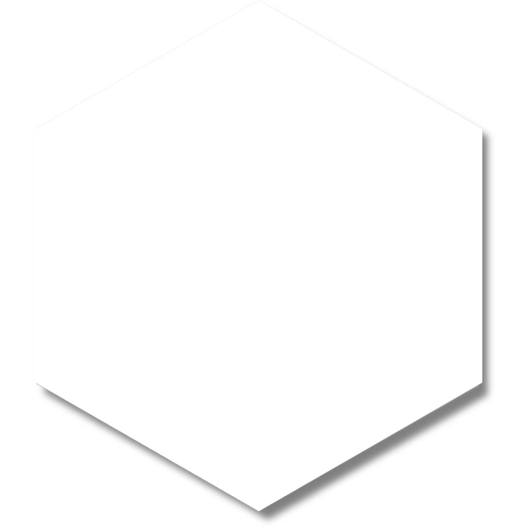 Block Hexagon Blanco Matte 5x6 Ceramic Tile