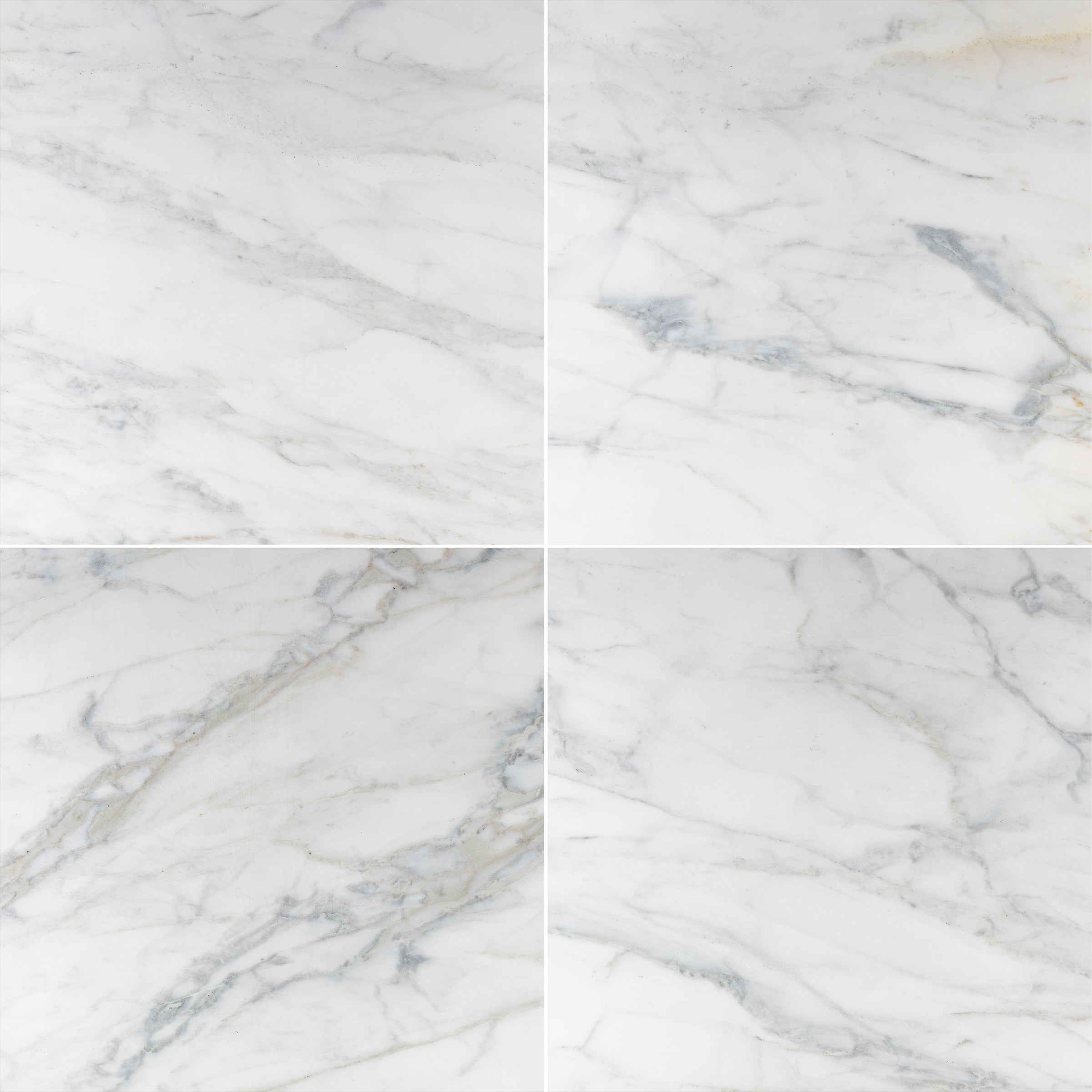 Calacatta Caldia Polished Marble Tile 24x24