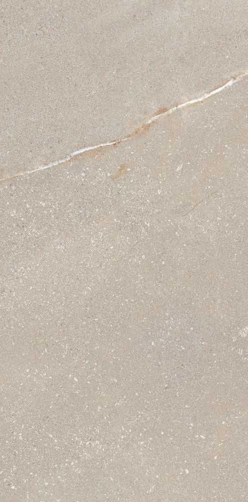 Madison Bone 12 x 24