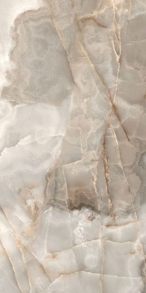 Reves Noisette Glossy 12 x 24