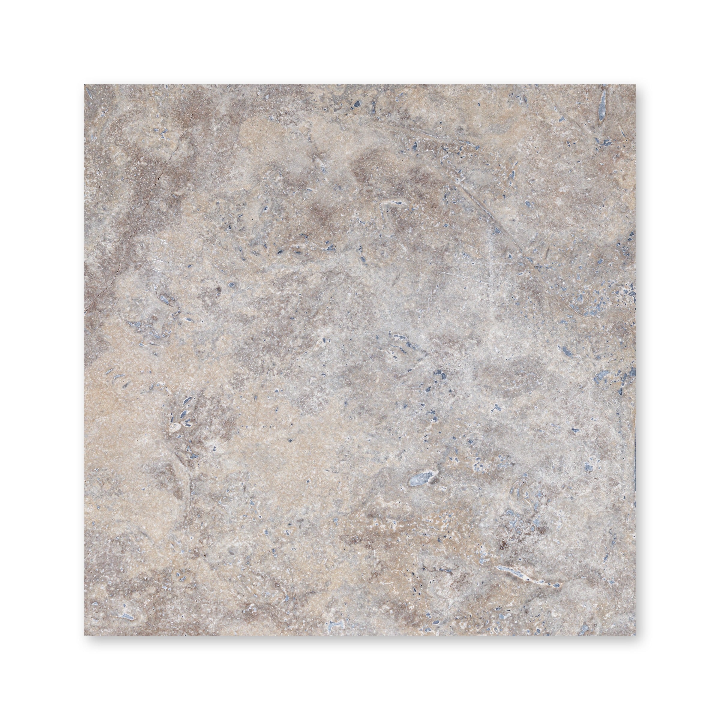 Olympus Black - Bullnose Edge 12 x 24