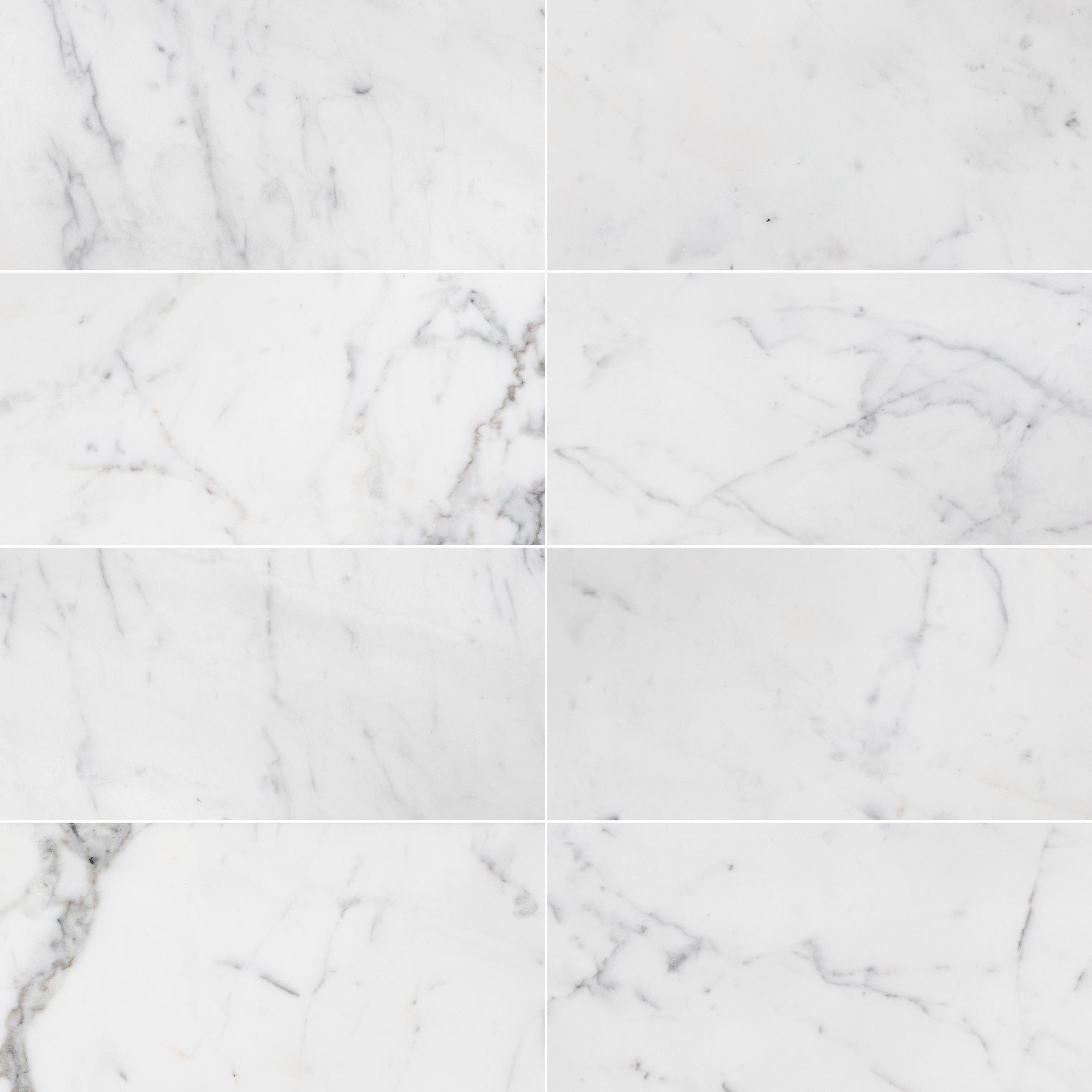 Statuary White 12x24