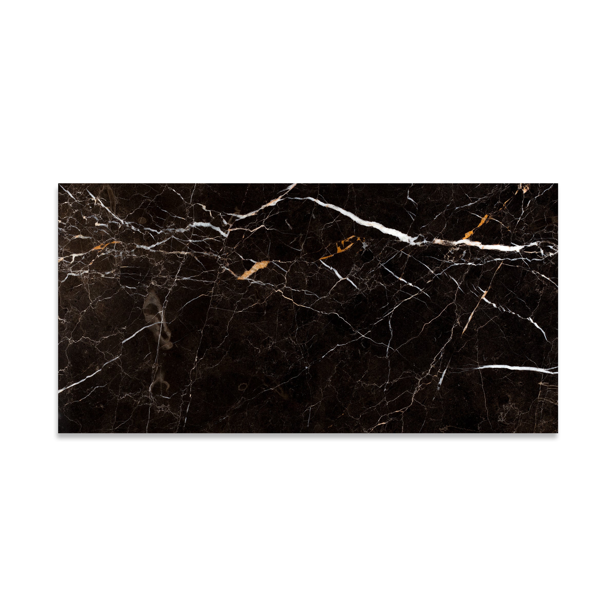 St. Laurent Brown Polished Marble Tile 12x24