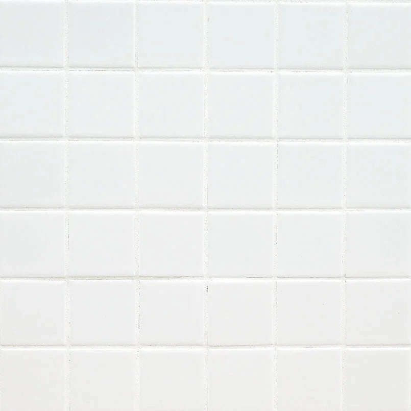 Domino White 2x2 Matte