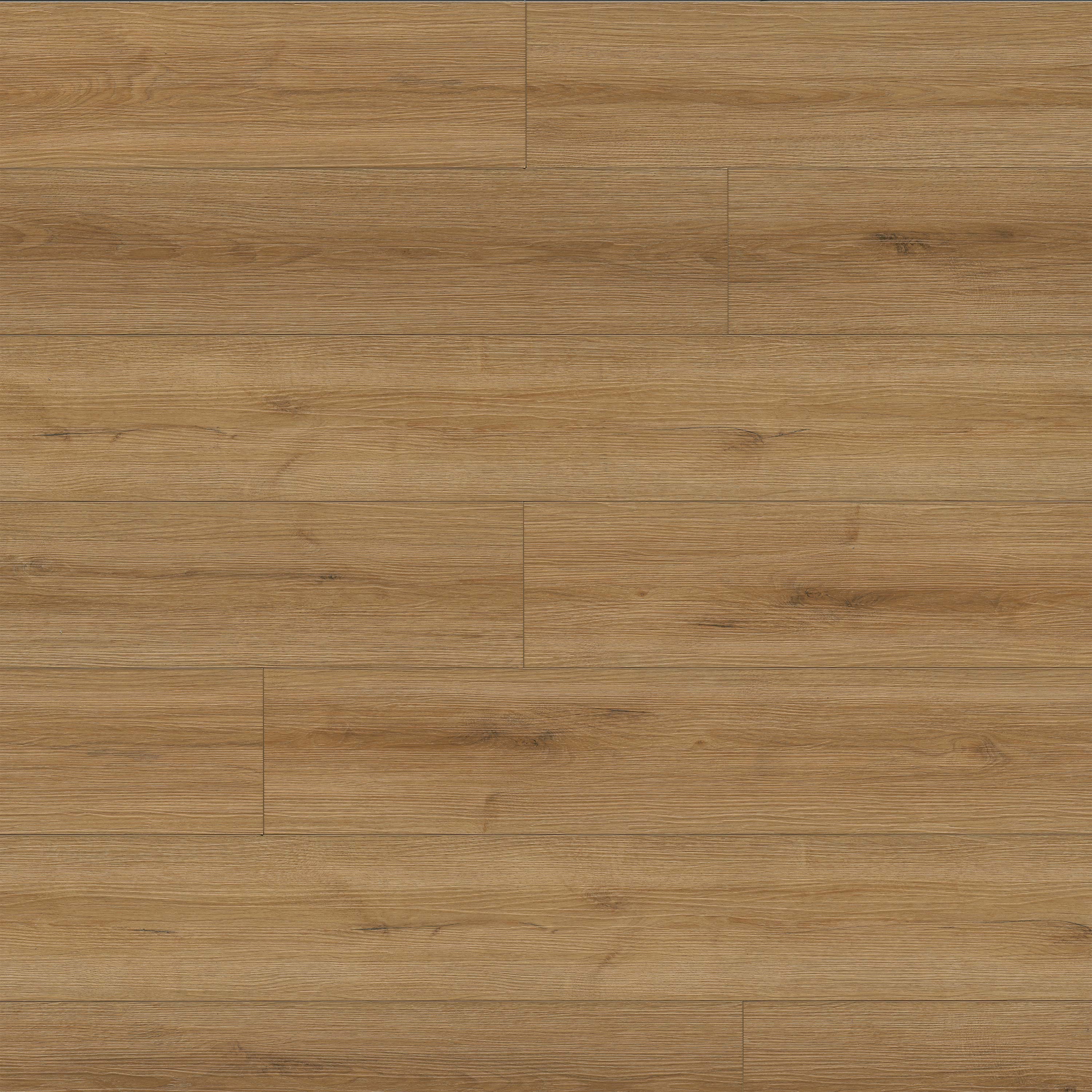 XL PRESCOTT AMBER FORRESTER Matte Plank - 9x60