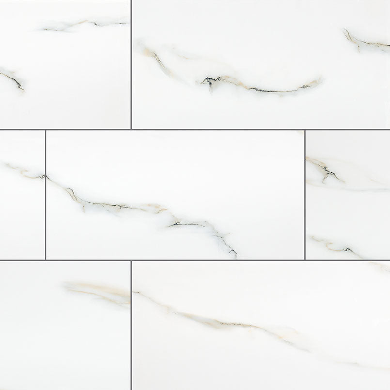 Aria Bianco Tile Polished 24 x 48
