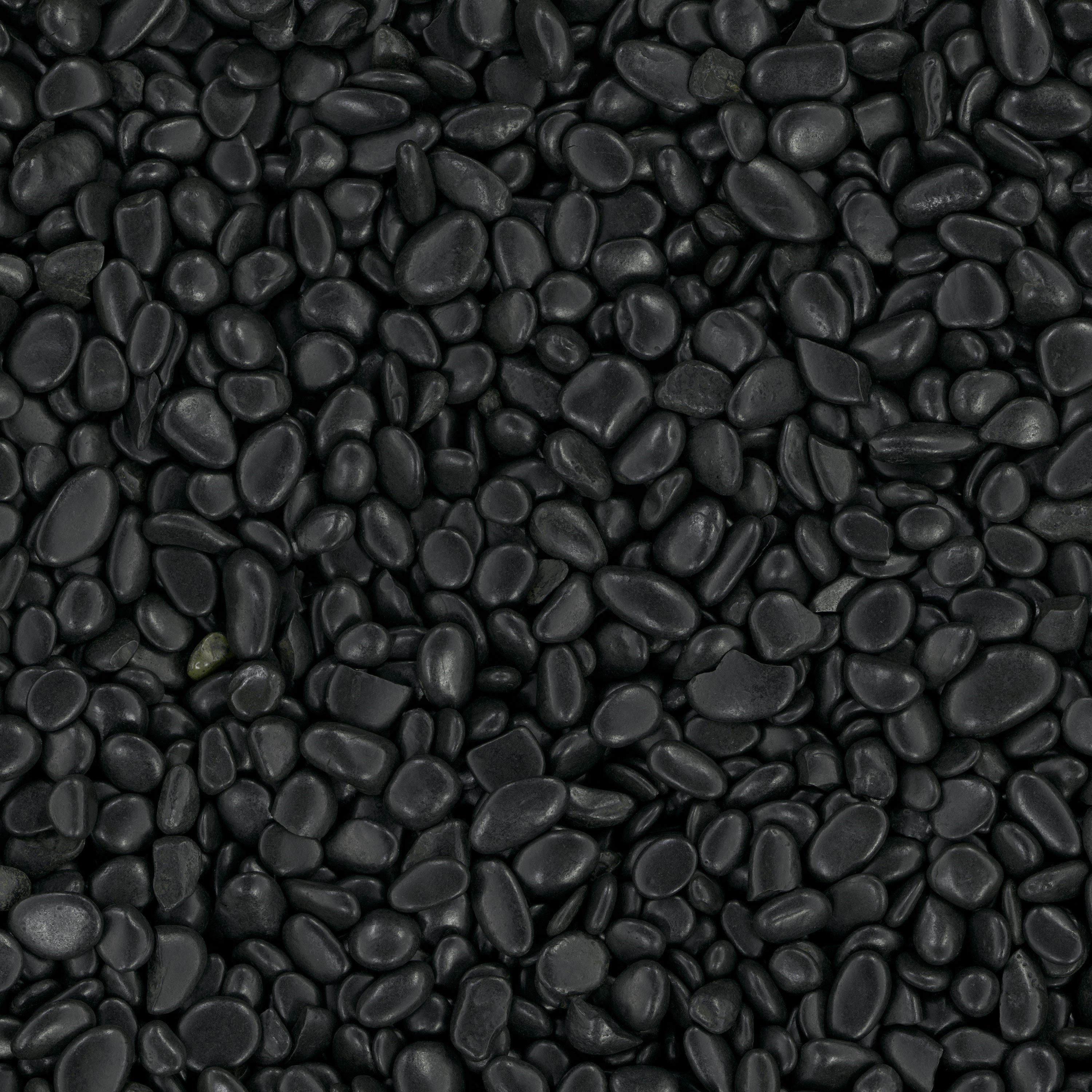 BLACK POLISHED PEBBLES POLISHED Hardscape - Small 0.25 - 0.75 INCH