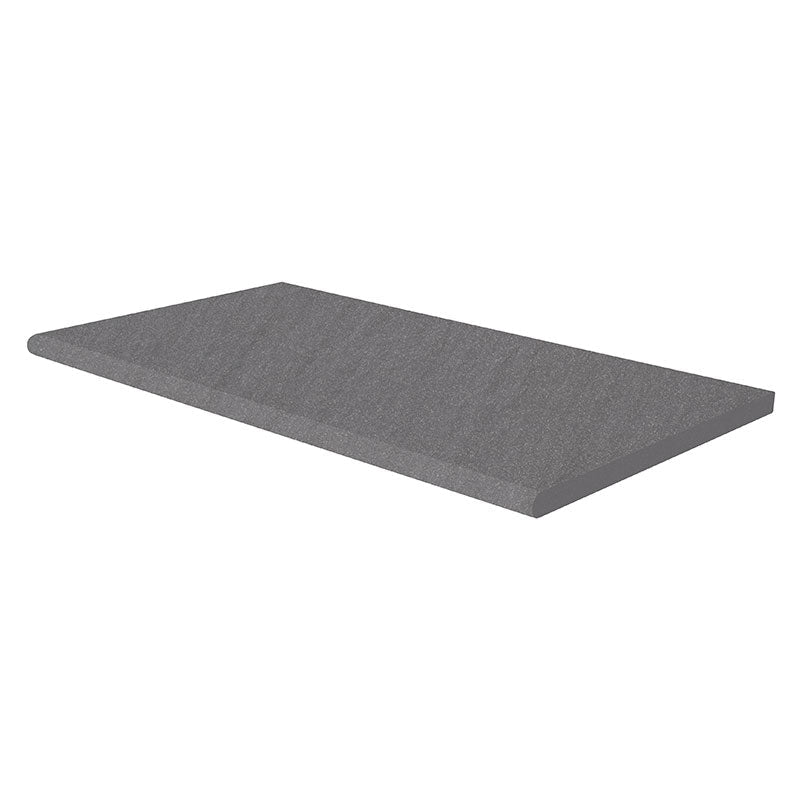 Arterra Blue Stone Paver & Pool Coping 13 x 24 Pool Coping
