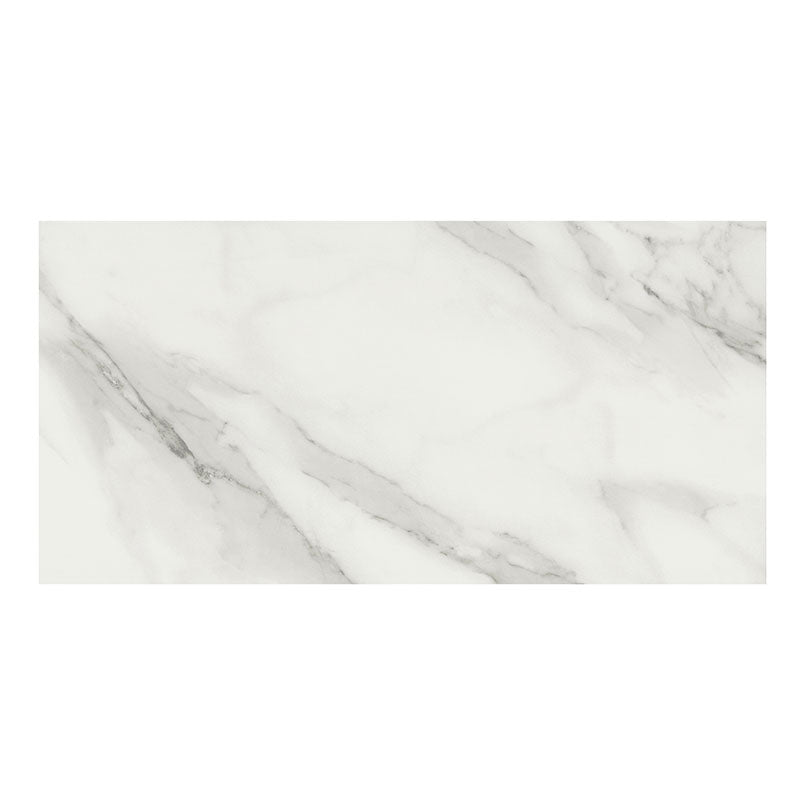 XL TRECENTO CALCA VENOSA GD 17.99X35.98
