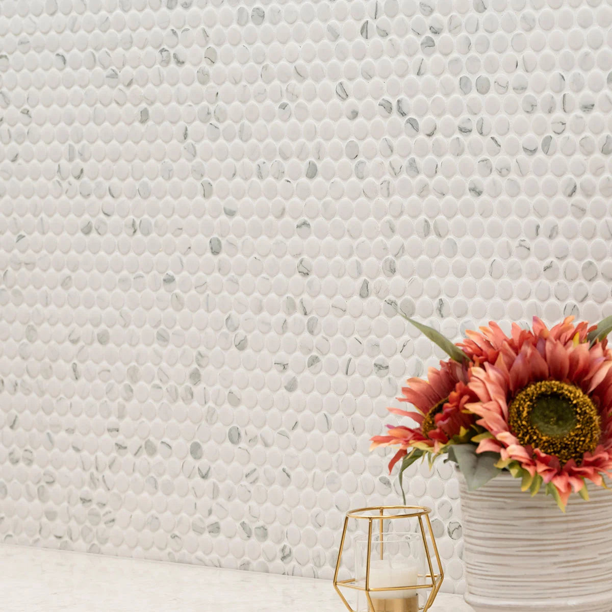 Carrara Matte Penny Round Mosaic wall in bathroom