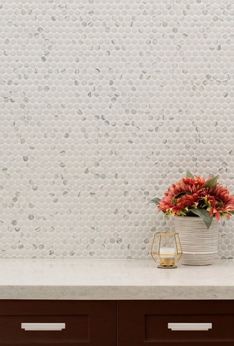 Carrara Matte Penny Round Mosaic wall in bathroom
