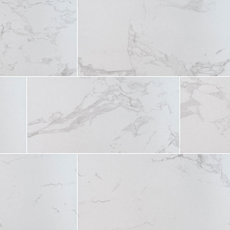 PRAIA CARRARA 24X48 MATTE