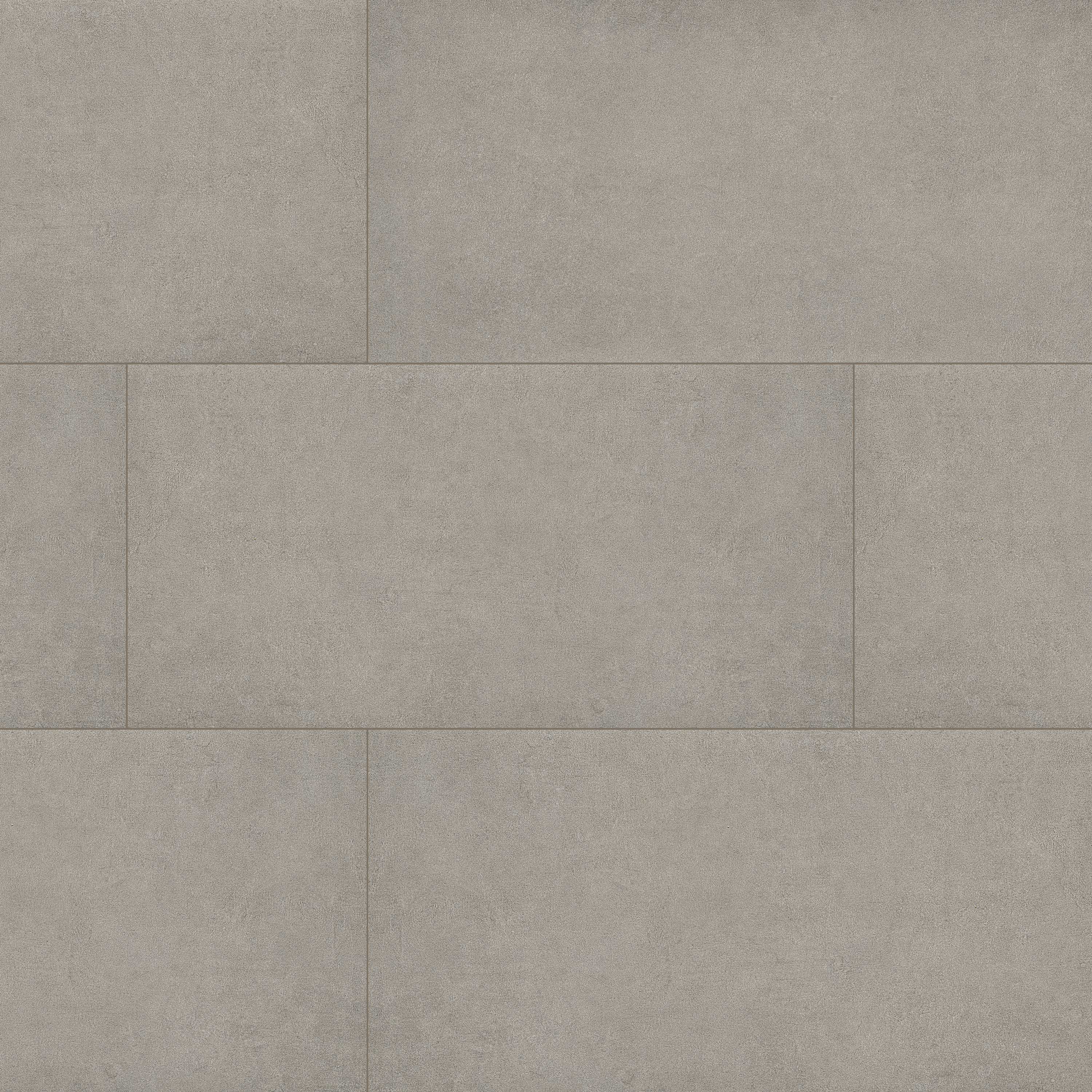 ARTERRA PAVER CEMENTIQUE SILVER 24X48X2C