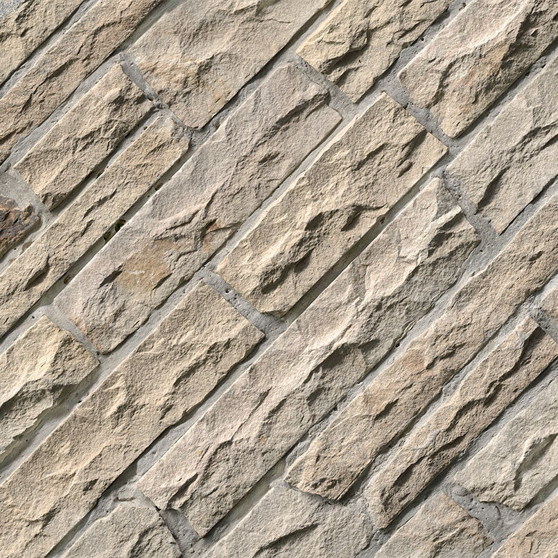 FOSSIL RUSTIC Natural Hardscape - 12"-12.5"x18"-18.5"