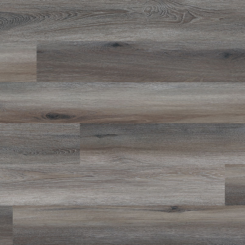 GLENRIDGE MIDNIGHT MAPLE 6X48