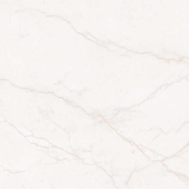 Brighton Gold Tile Polished 48 x 48