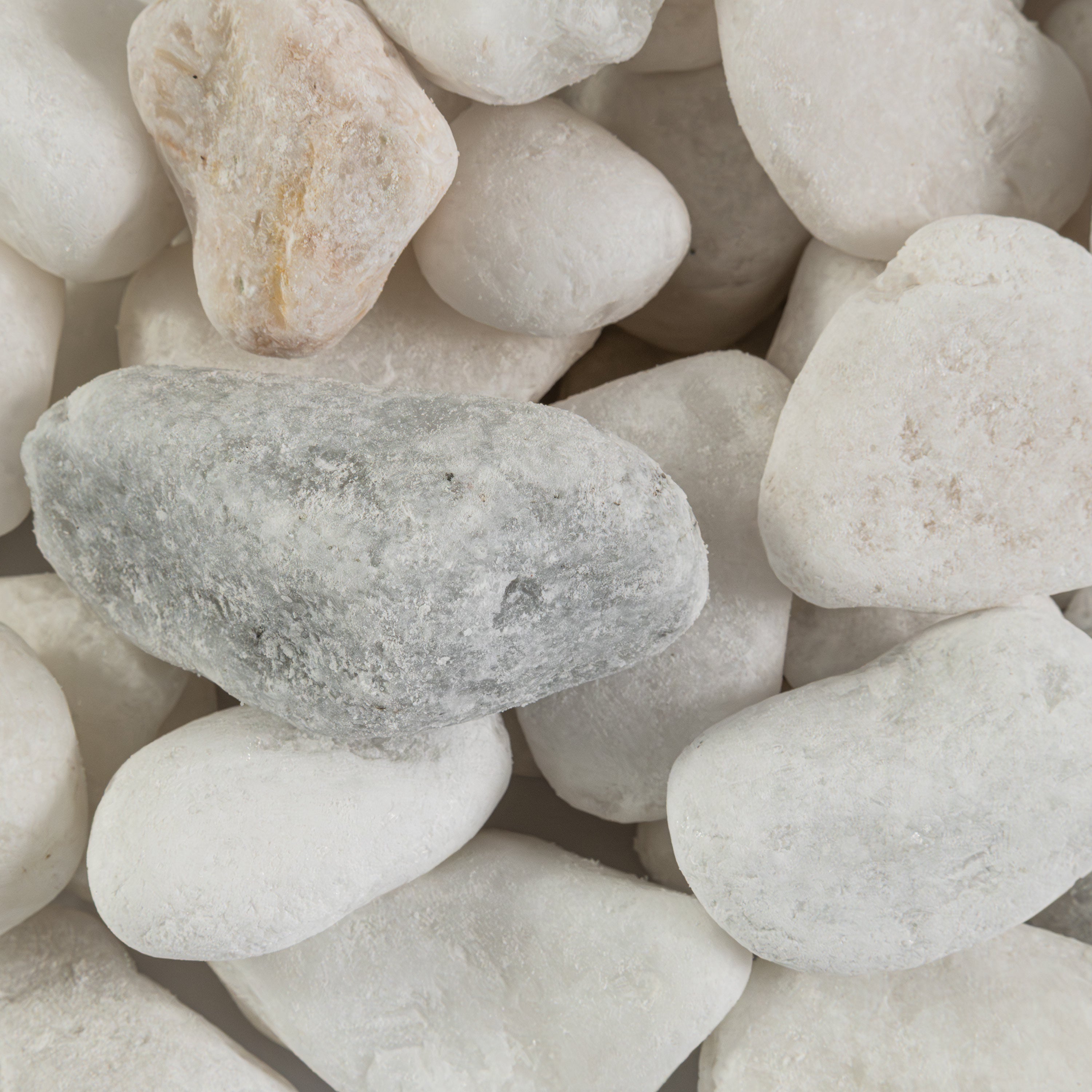 HIMALAYA WHITE PEBBLES Natural Hardscape - Small 0.25 - 0.75 INCH