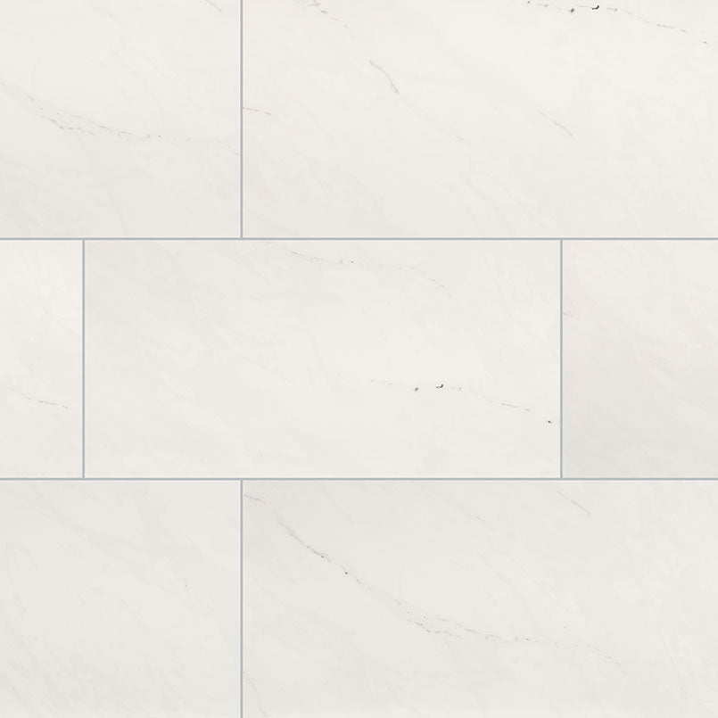 Aria Ice Tile Polished 24 x 48