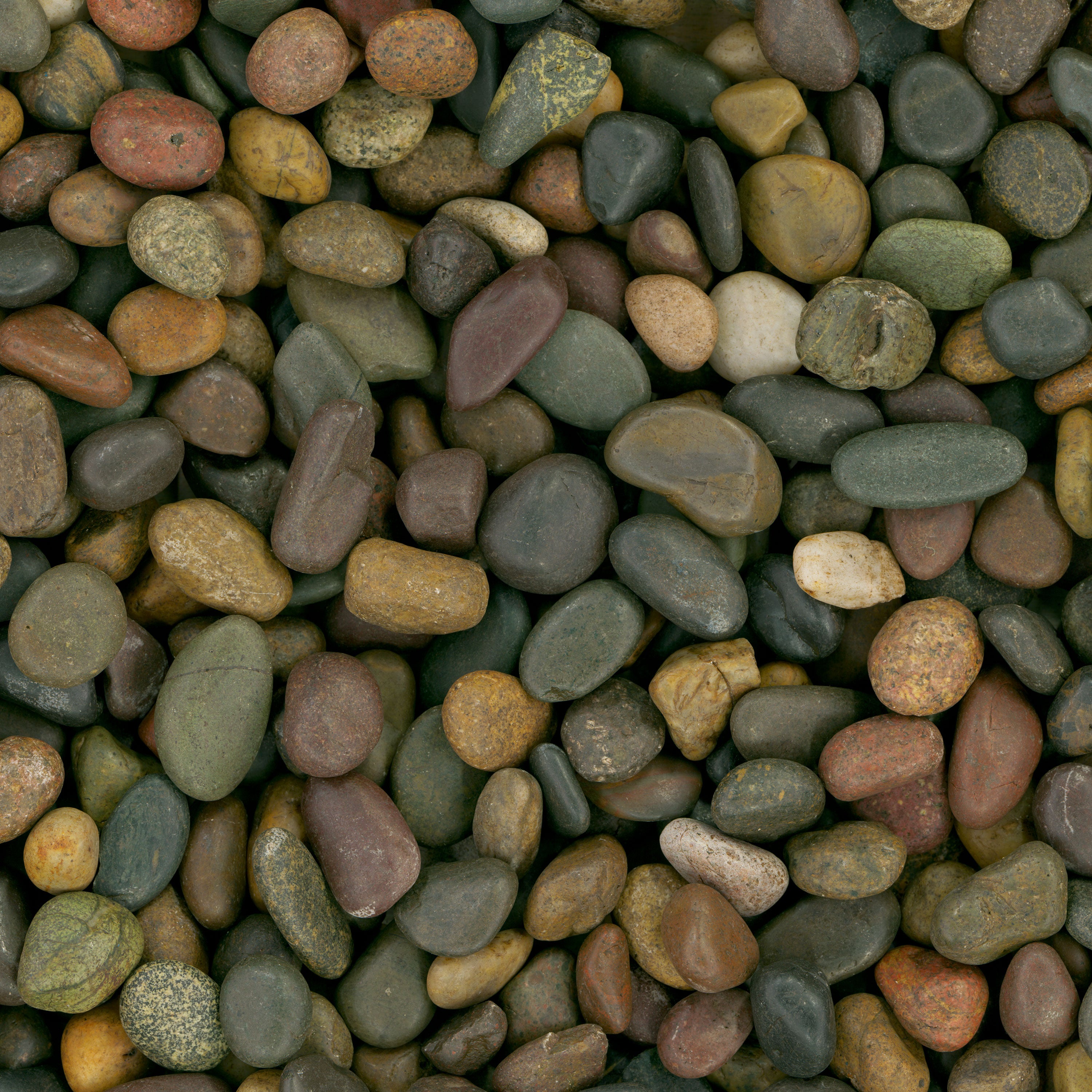 MIXED POLISHED PEBBLES POLISHED Hardscape - Medium 0.75 - 1.25 INCH