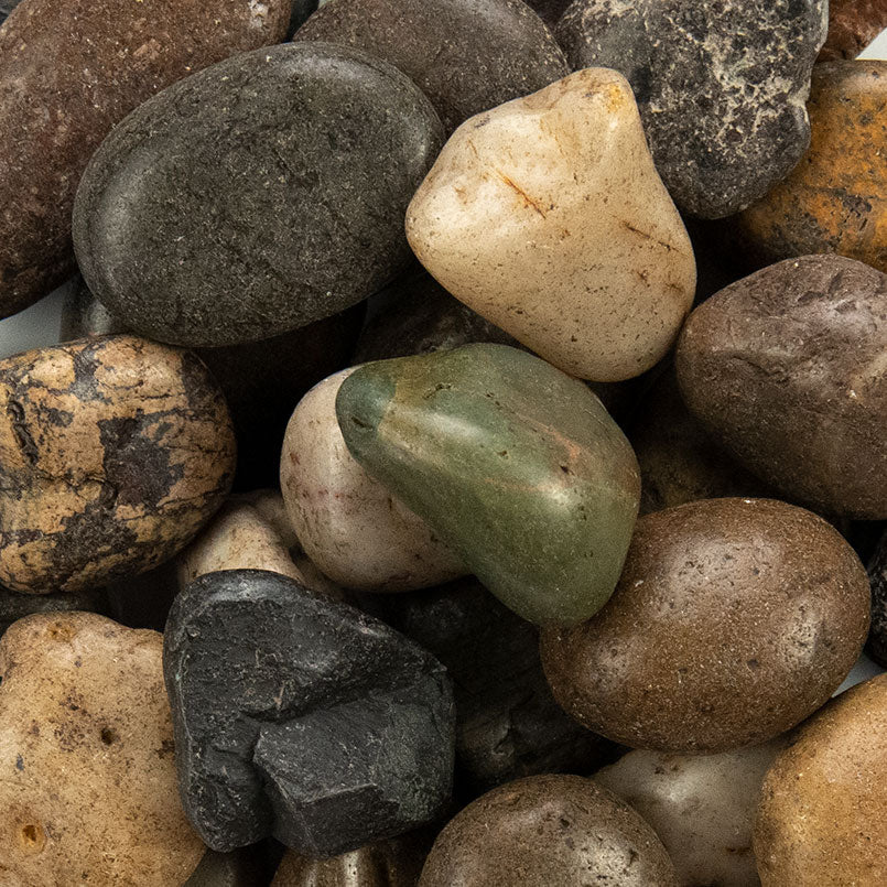 MIXED POLISHED PEBBLES POLISHED Hardscape - Large 1 - 2 INCH