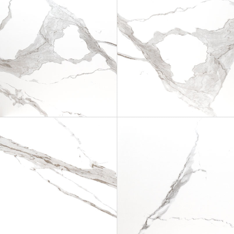 Eden Statuary Tile Matte 24 x 24