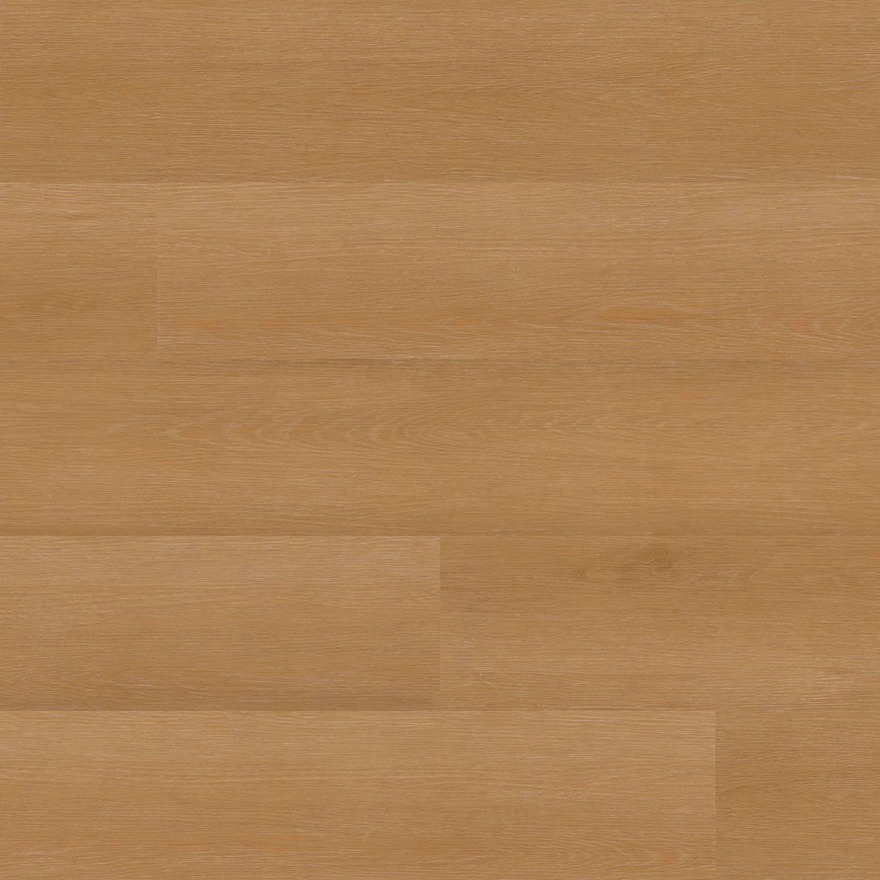 STUDIO TAOS 8.98X48.03