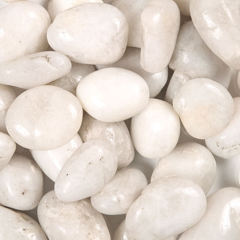 WHITE POLISHED PEBBLES POLISHED Hardscape - Medium 0.75 - 1.25 INCH