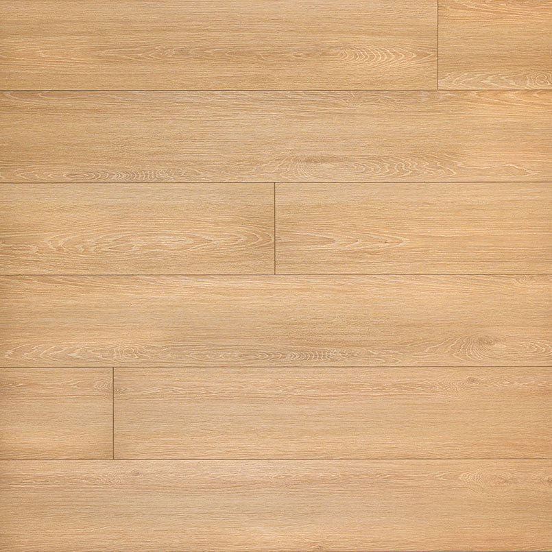 XL CYRUS VALLEYVIEW GROVE 8.98X60