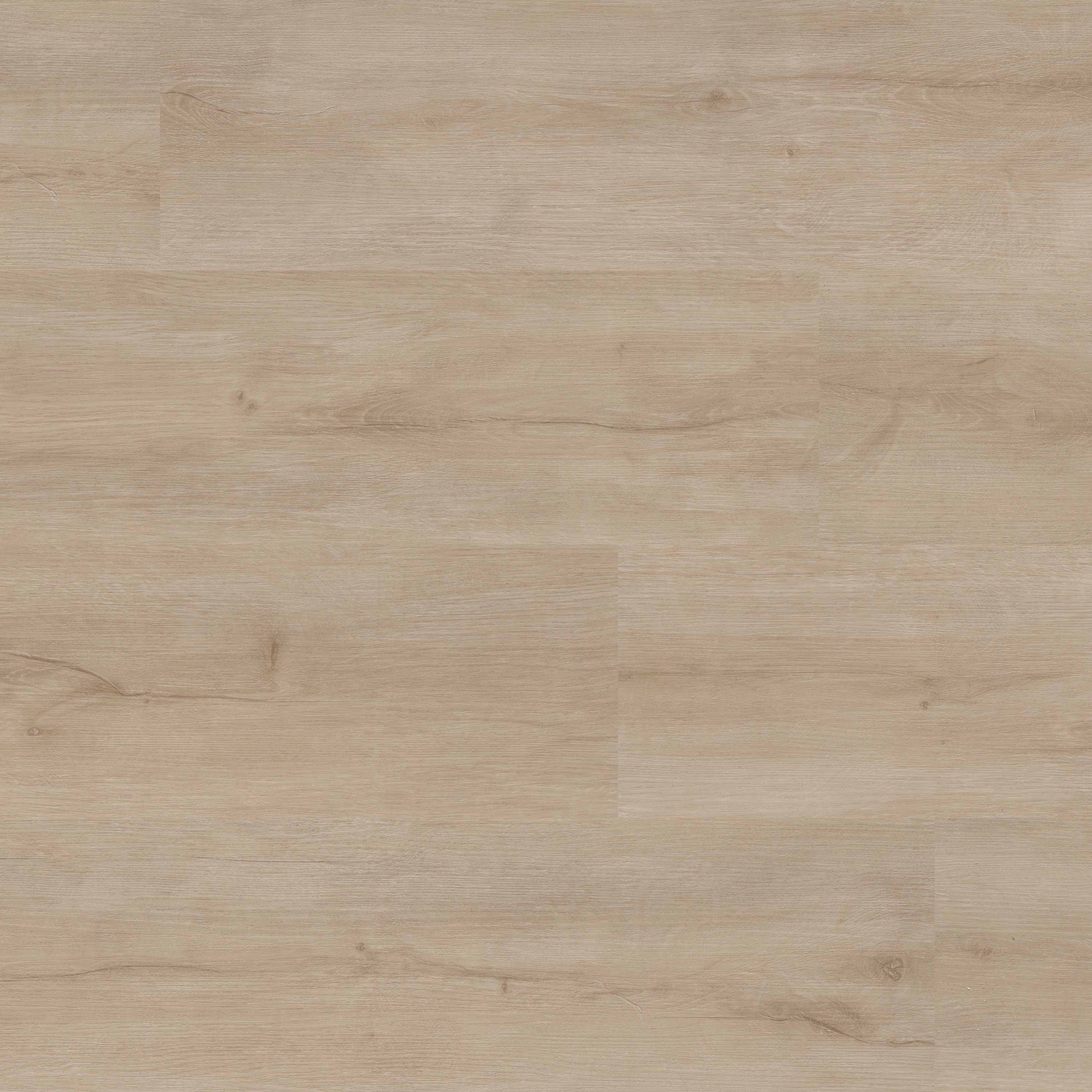 XL STUDIO TIFTON 8.98X60