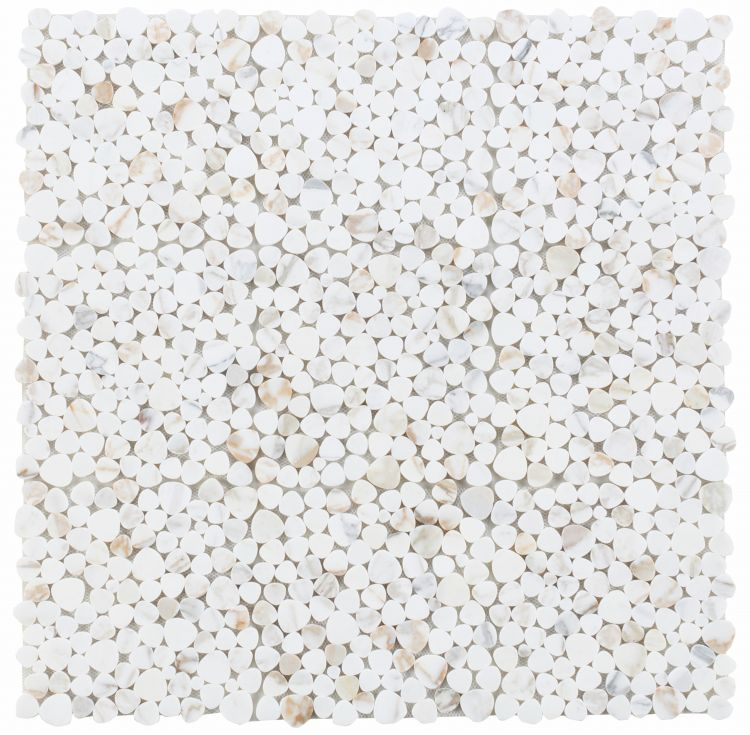 Aphrodite Calacatta Gold Polished 12 x 12