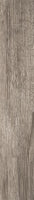 Larix Tortora RT 5.50 x 32