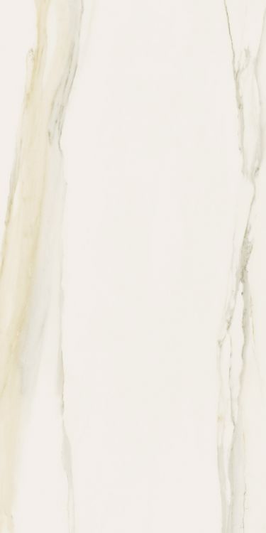 Classici Calacatta Gold Tile Glossy 12 x 24