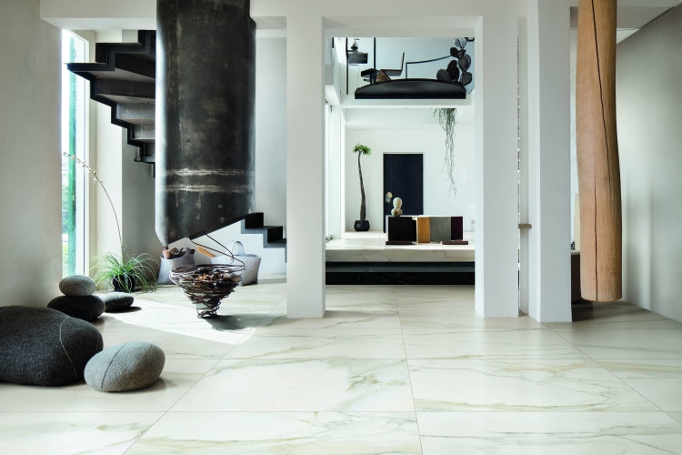 Classici Calacatta Gold Matte 12 x 24