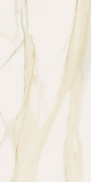 Classici Calacatta Gold Tile Matte 12 x 24