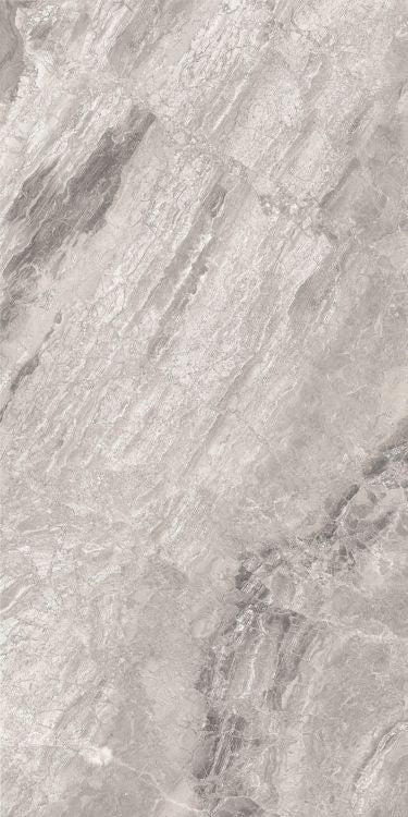 Supreme Silver Naturale Ret Tile Matte 24 x 48