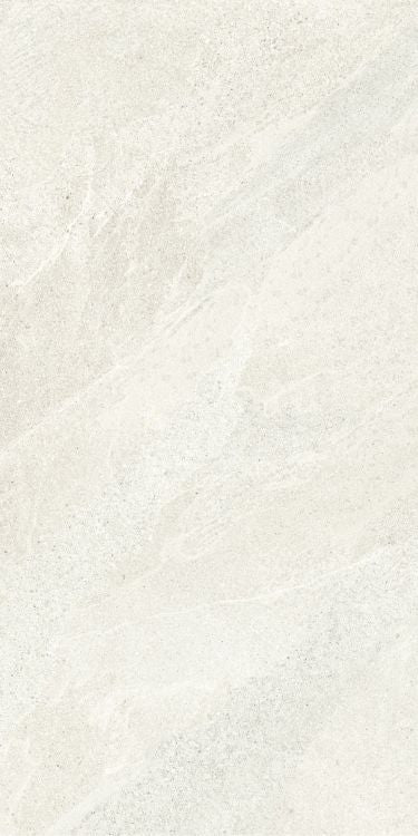 Tune Snow 24 x 48