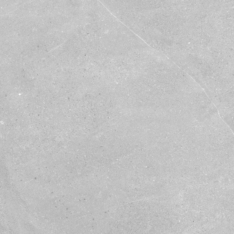 Madison Argent Tile Matte 24 x 24
