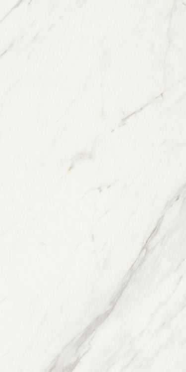 Marmi Calacatta Levigato 12 x 24