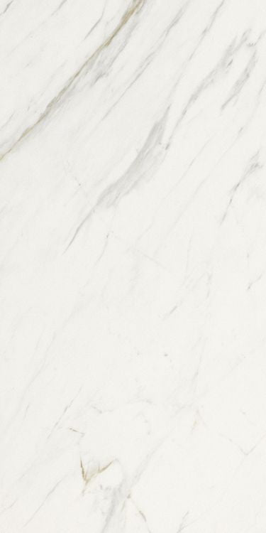 Marmi Calacatta Levigato 12 x 24