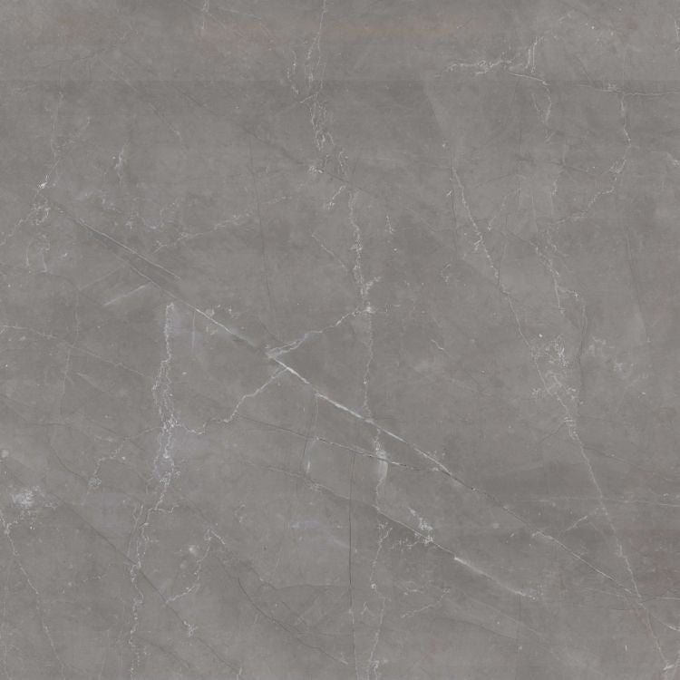Tekali Gris Polished 24 x 24