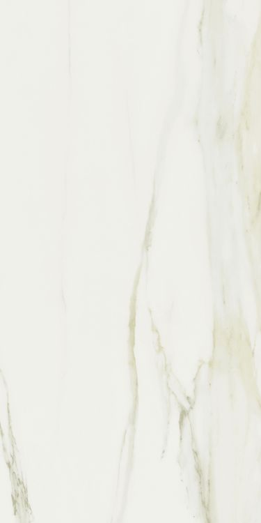 Classici Calacatta Gold Tile Glossy 24 x 48