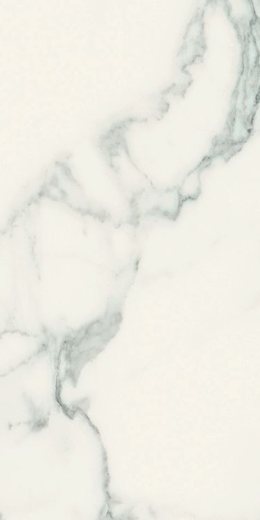 Classici Statuario Soft Tile Matte 24 x 48