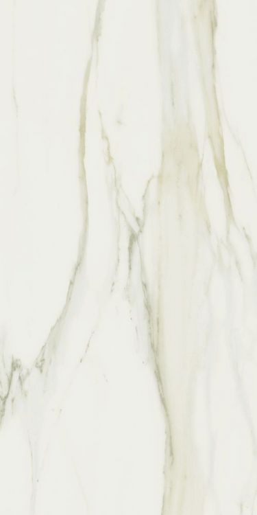 Classici Calacatta Gold Tile Matte 24 x 48