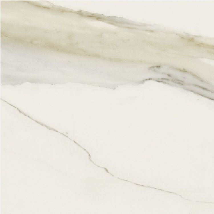 Classici Calacatta Gold Tile Matte 24 x 24