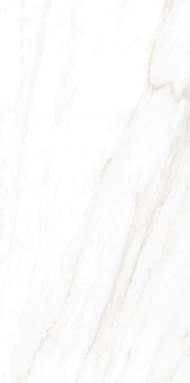 EC Calacatta Gold Tile Polished 24 x 48