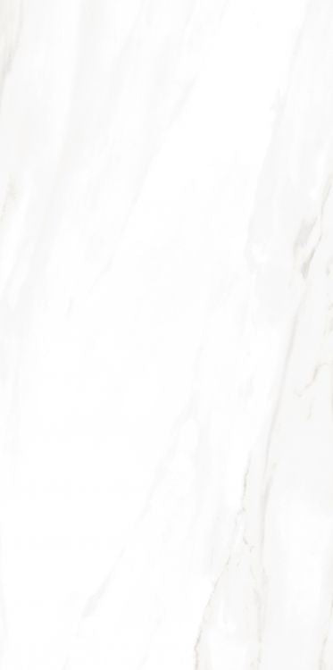 EC Calacatta Gold Matte 24 x 48