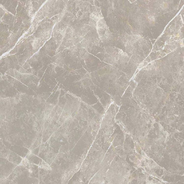 Dolomia Grey Luc Tile Polished 24 x 24